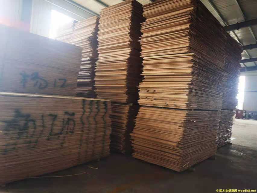 ������ȫ��ߙn�Ҿ߰����B(t��i)��