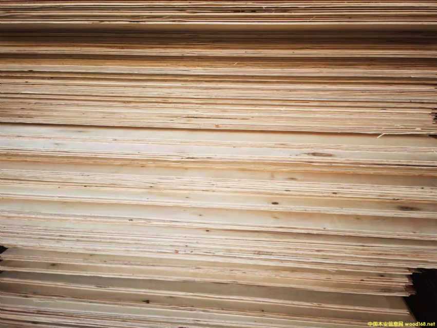 [��] 12�� 15�� 18�� ���� ȫ����ζ��ӼҾ߰����