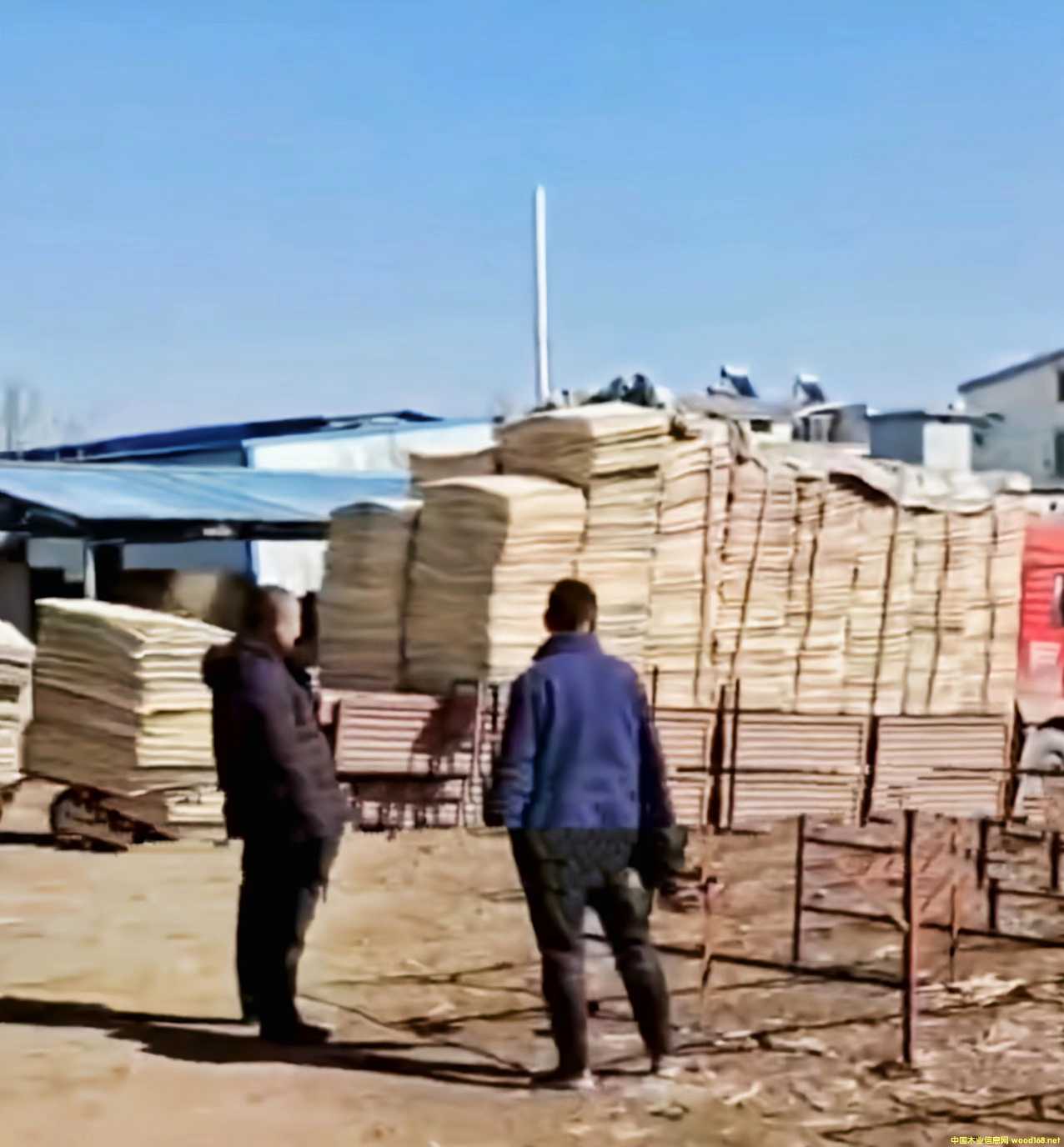 ��ľ�AоƤ��Ԕ����B