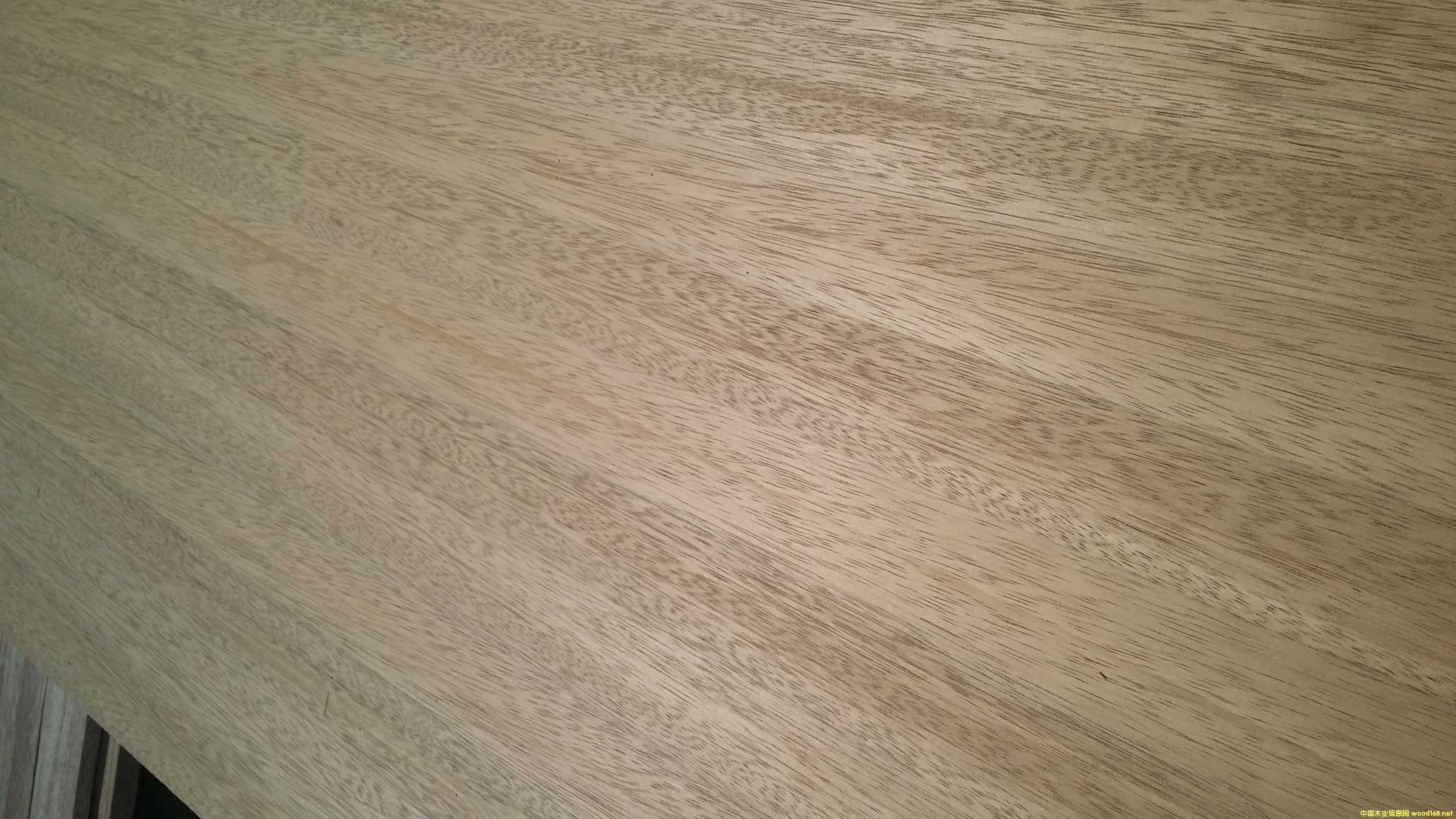 [��] ���޺ں��� ��̴ С���R ֱƴ���ɰ又�Ҹۂ��vľ�I(y��)