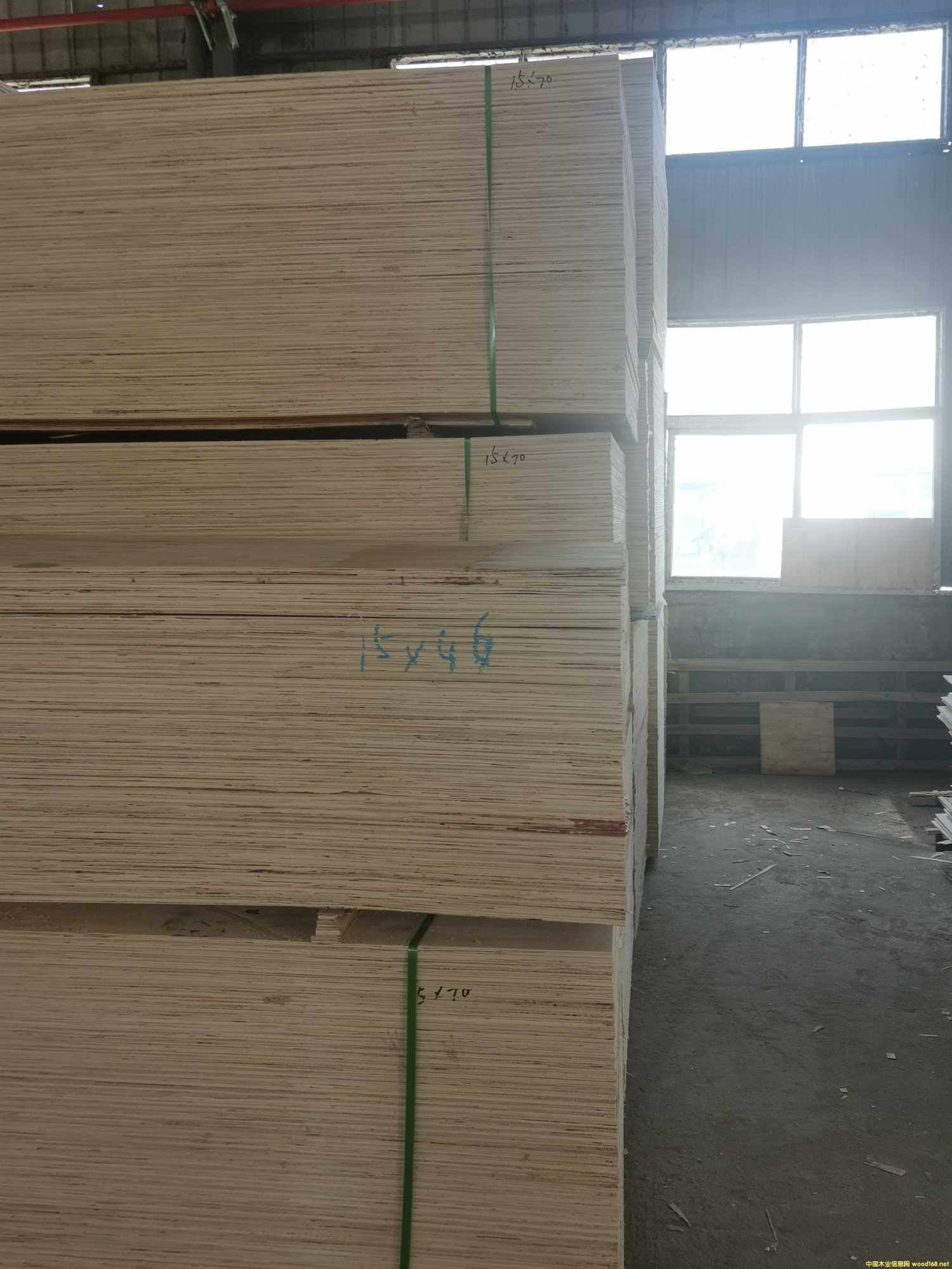 CARBP2��E1��E2 ��ľʮ����� ɳ�l(f��)�� �ɶ���