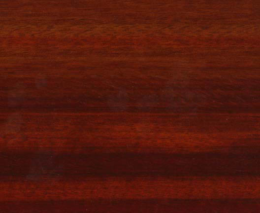 Muirapiranga��Ԕ��(x��)��B