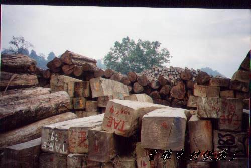 �sľ����Ԕ��(x��)��B