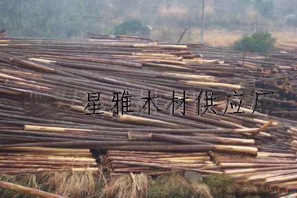 ɼľԭ�ĵ�Ԕ��(x��)��B