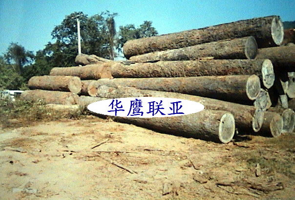 �t�����Ԕ��(x��)��B