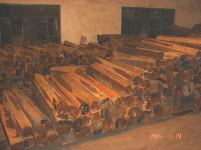 ��t��֦��Ԕ��(x��)��B