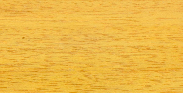 ����ľ�ģ�Ceiba��Ԕ����B