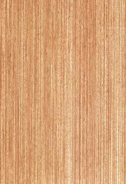 E.V.L.�t����